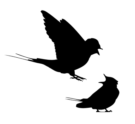 Barn swallow flit and sitting silhouette in vector.のイラスト素材