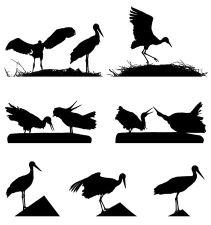 White Storks on the nest silhouette set.のイラスト素材