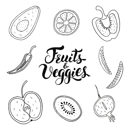 Fruits and Veggies hand drawn vector set.のイラスト素材