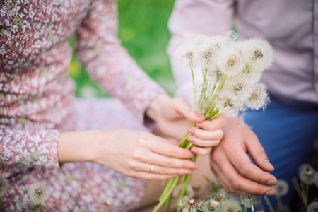 Girl holding a bouquet of dandelion in sunny dayの写真素材