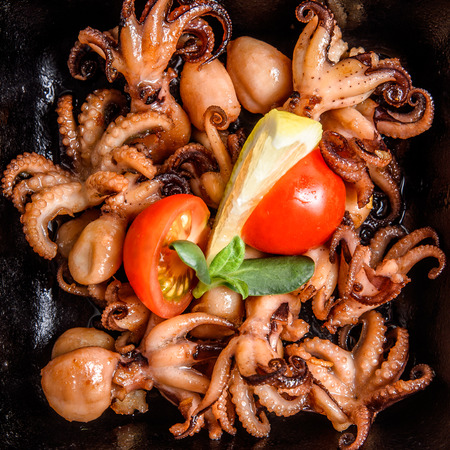 webfoot octopus Stir-fried Dishesの写真素材