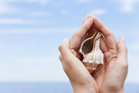 Sea cockleshell in female hands on a dim background of the blue sky and the dark blue seaの写真素材
