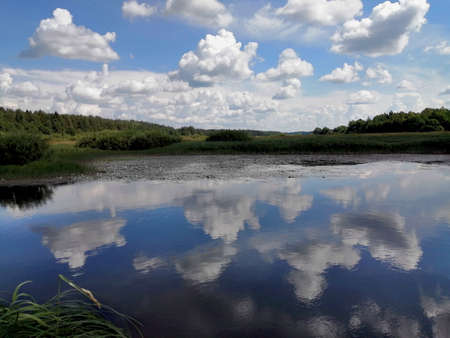 summer landscape with clouds in the riverの写真素材