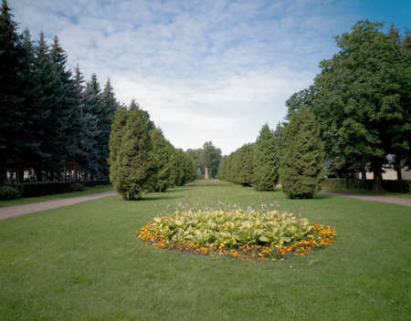 summer park on a sunny dayの写真素材