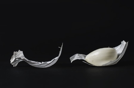 artistic photo garlicの写真素材