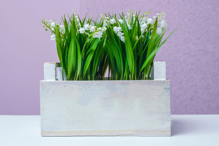 bell flowers in a potの写真素材