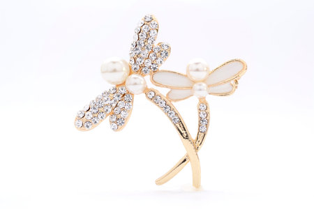 brooch in the form of dragonflies on a white backgroundの写真素材