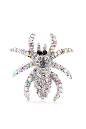 brooch in the form of a spider on a white backgroundの写真素材
