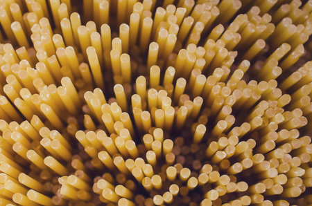 texture of macaroniの写真素材