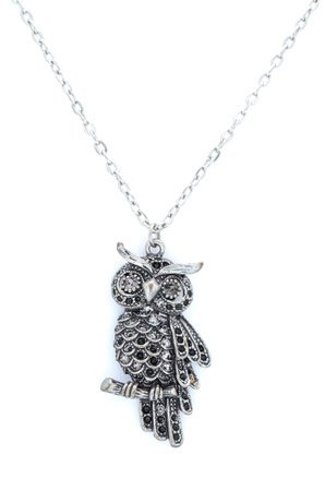 Pendant with owl isolated on whiteの写真素材