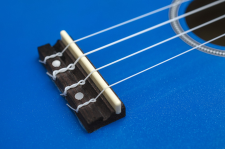 ukulele , guitar, saddle, strings, bridge.の写真素材