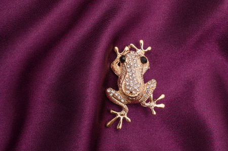 Gold brooch frog with diamonds on silk fabricの写真素材