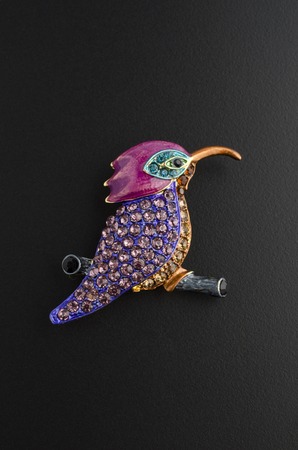 brooch bird with crimson stones isolated on blackの写真素材