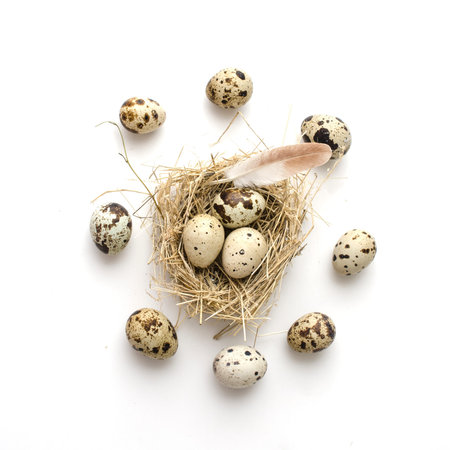 quail eggs with feather in a nest isolated on white background