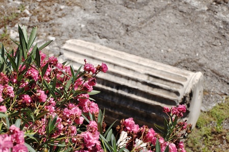 Blooming bush with pink flowers and broken ancient light stone column.の写真素材