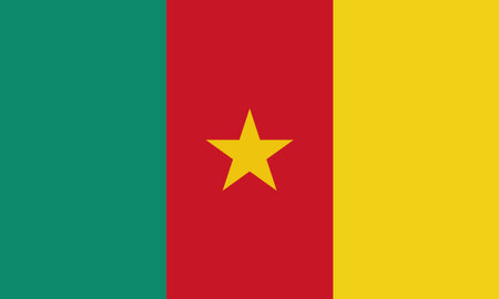 Cameroon flag, Cameroon national flag background texture. Vector illustrationのイラスト素材
