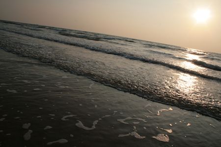 natureの写真素材