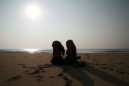 natureの写真素材