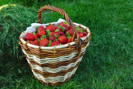 Basket full of fresh ripe strawberry. Food frame background の写真素材