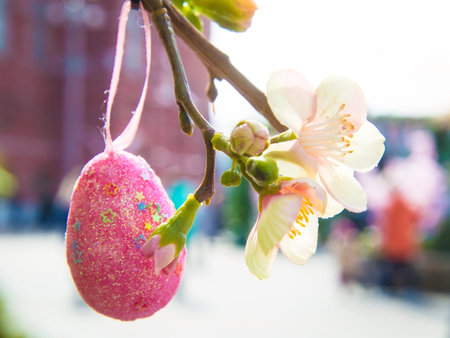 Close up of a branch of blooming artificial apple or cherry tree with beautiful painted Easter egg....