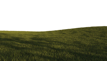 Green grass isolated on whiteの写真素材