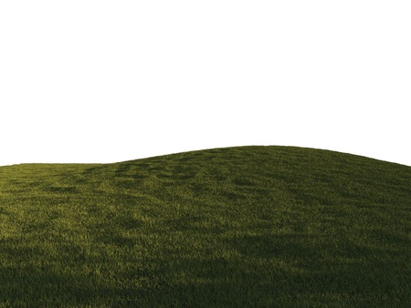 Green grass isolated on whiteの写真素材