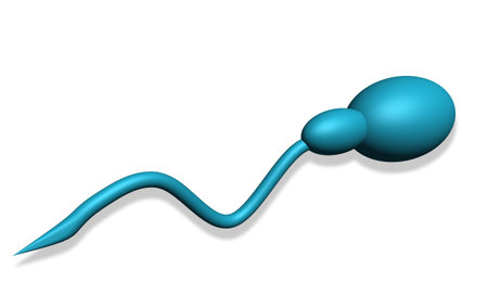 Human Sperm made in 3d software isolated on whiteの写真素材