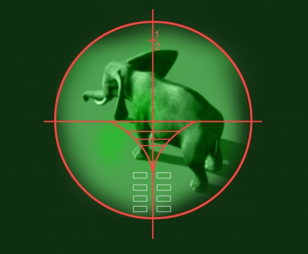 viewfinder of  sniper rifleの写真素材