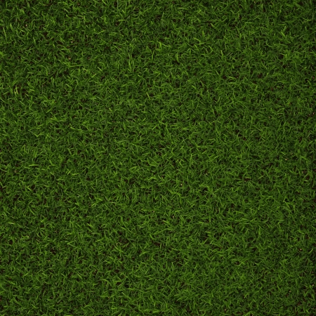 Perfect Grass in  3Dの写真素材