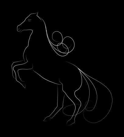 Elegant horse done in black-white a minimal styleの写真素材