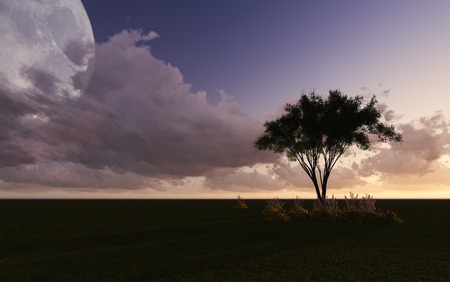 Moon night with tree made in 3d softwareの写真素材