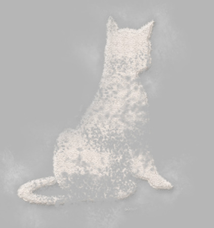 Elegant cat done  from  flour  in  a minimal styleの写真素材
