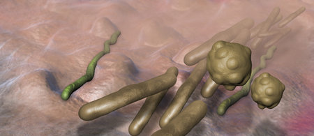Virus and bacterium background - High Quality 3D Render