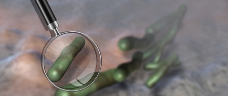 Virus and bacterium background - High Quality 3D Renderの写真素材
