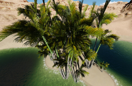 3d rendering - Oasis in the desertの写真素材