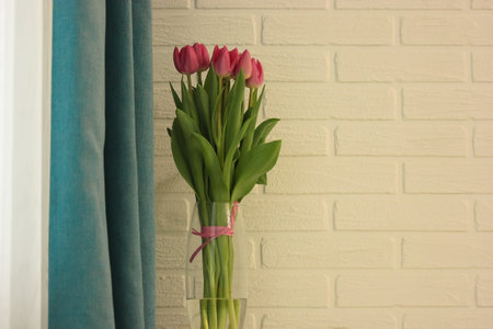 Pink tulips in a vase against a white brick wall, blue curtain and white tulleの写真素材