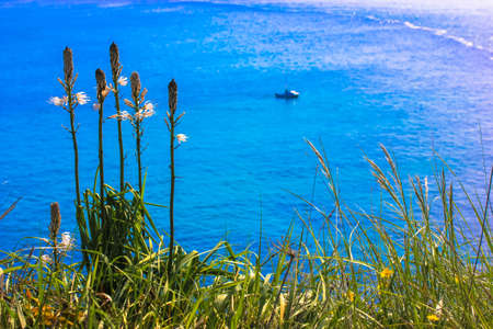 Green grass against a background of blue ocean in summer and a little boat on the horizontの写真素材