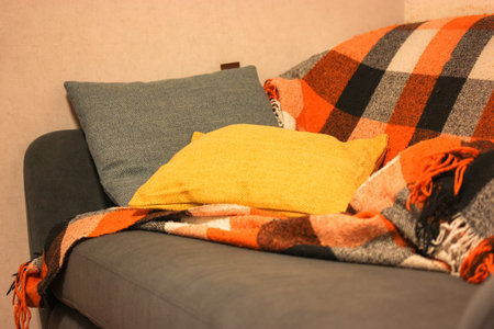 A gray sofa and an orange checkered plaid with blue and yellow pillows lie on it. A cozy place to...
