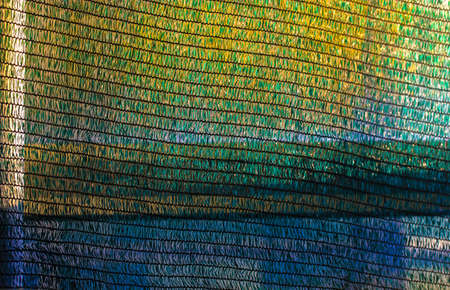 Yellow green blue knitted polyethylene mesh background. Agro sun shade net textured surface sample. Greenhouse equipment. High quality photoの写真素材