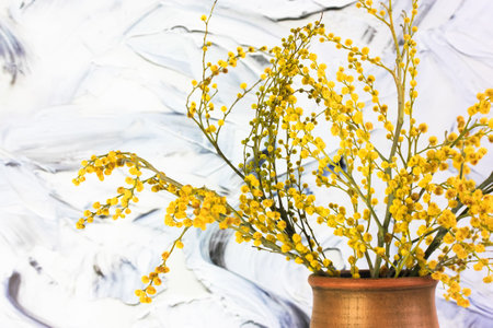 A bouquet of yellow mimosa flowers in a brown clay vase. Yellow spring flowers on black and white brush strokes background. Golden Acacia dealbata in bloom. A gift for Mom's day, March 8, Easter.の写真素材