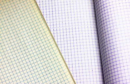 Blank notebook pages background flatly. Opened notepad notebook with a checkered sheets. Vintage...