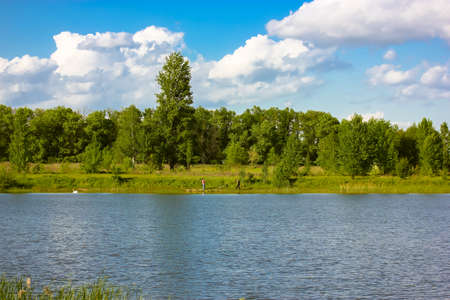 Green tree tops in a forest park zone of a coastal strip. Water bodies, lakes, rivers, ponds. National reserve. Amazing natural landscape at sunny summer day. Beautiful blue cloudy sky above poplarsの写真素材