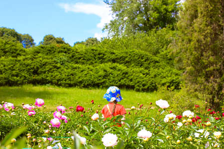 A cute little girl 3-7 years old in a blue panama stands among a blooming peony bushes in a spring, summer botanical garden. Beautiful natural scenery landscape. Pink, white, red flower buds. Blue skyの写真素材