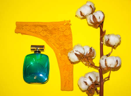Lace women's thong panties, cotton flower branch, green perfume eau de toilette lying on a yellow background. Female underwear lingerie. Gift for a girlfriend on March 8. Modern lady essentials flatlyの写真素材