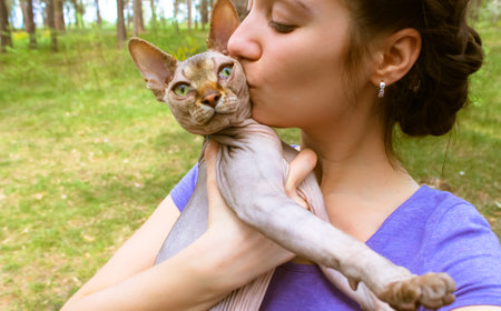 Girl or young woman is holding, kissing beloved green-eyes cat Canadian Sphynx breed. Bald, hairless sphinx kitty with his owner relaxing outdoor in the summer forest. World Cat Day. Unusual pet.の写真素材