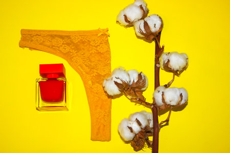 Lace women's thong panties, cotton flower branch, red perfume eau de toilette lying on a yellow background. Female underwear, lingerie. Gift for a girlfriend on March 8. Modern lady essentials flatly.の写真素材