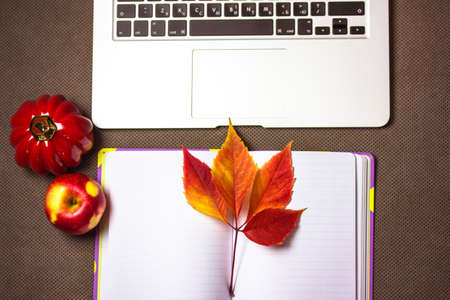 Notebook laptop keyboard, open diary with white paper sheets, red grape leaf, apple, decorative halloween pumpkin on gray sofa at fall. Workspace, workplace for remote work, study, learning at home.の写真素材