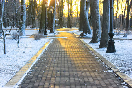 A paved stone path in the park among the bare trees in winter. A city public park without people in frosty weather at sunset. A natural winter landscape. No people on the street.の写真素材
