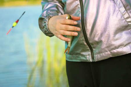 Fisherman woman holds a freshly caught small carp fish in hand, fingers. Fishing rod, a hook on a fishing line. Fishing in nature near a lake, river, body of fresh water in a spring or fall sunny day.の写真素材