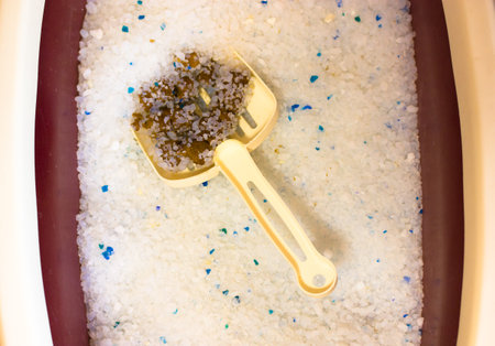 Cleaning dirty cat's toilet. Feline excrement in cat litter box with silica gel filler, combating unpleasant odors at home. White poop scoop. Domestic animals, pets care. Hygiene, cleanliness concept.の写真素材